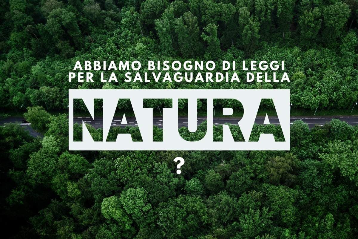 Abbiamo bisogno di leggi per la salvaguardia della natura?
